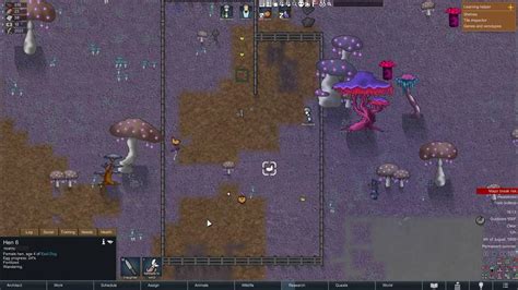 rimworld boots.